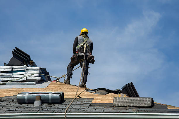 Professional Metal Roofing technician working in Shandon, CA